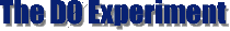 DØ logo